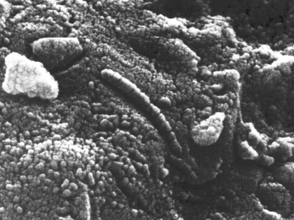 படிமம் :