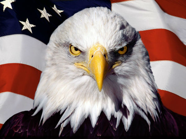 ஆக்கிரமிப்பு :