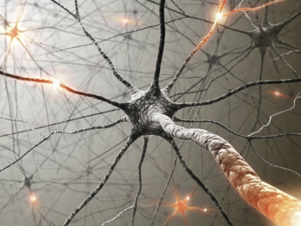  உற்பத்தி :