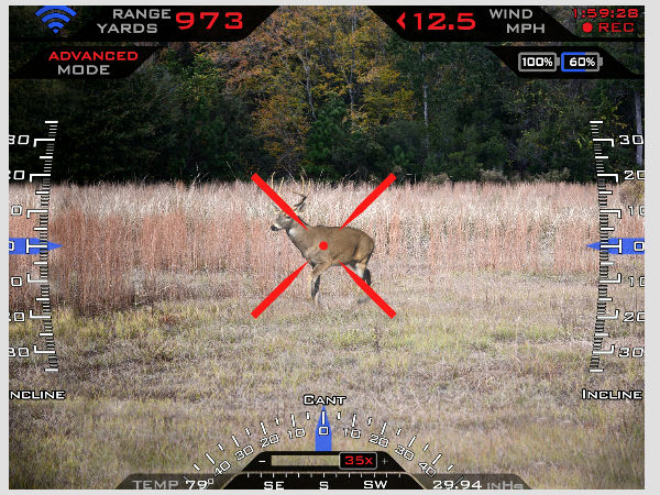 டிஸ்ப்ளே