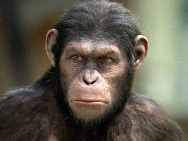 01. அன்கன்னி வேலி (Uncanny Valley) :