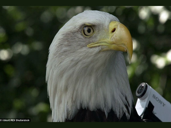 கேமிரா :