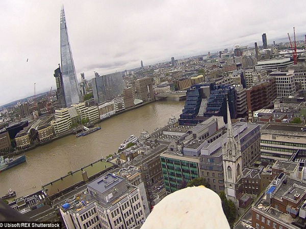 பல மாதங்கள் :