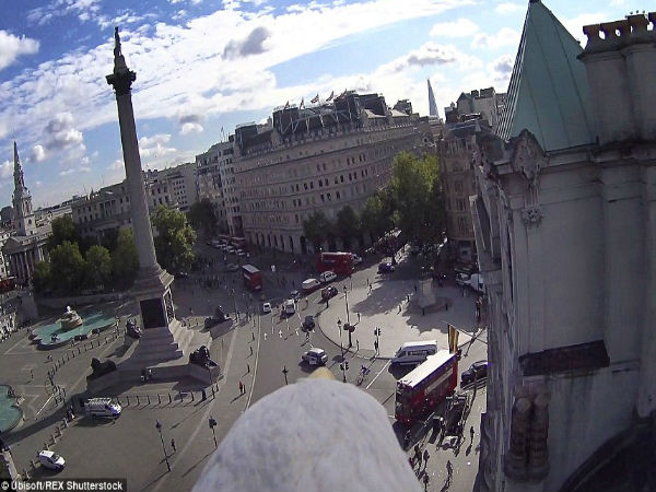 மூன்று நாட்கள் :