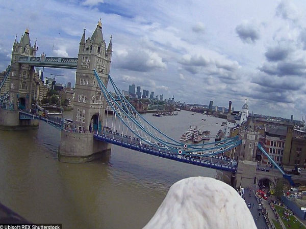 492 அடி உயரம் :