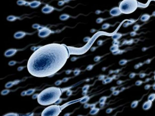 10. அனைத்து உயிர் இனங்களின் விந்துக்கள் :