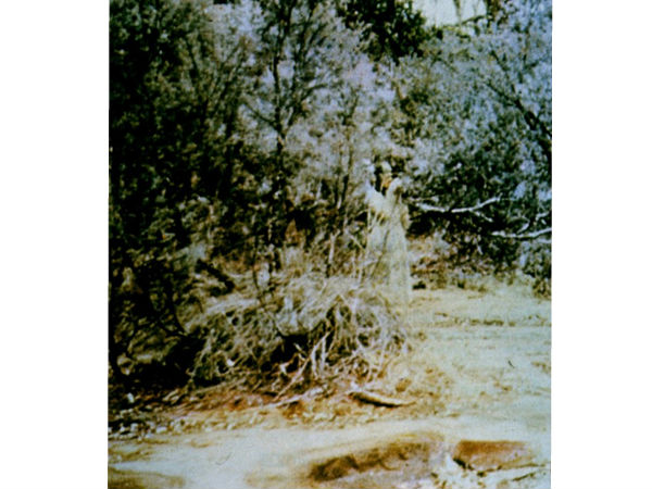 கொர்ரொபோரீ ராக் ஆவி (Corroboree Rock Spirit) :