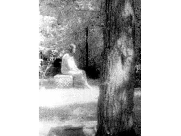 ஆவிகள் ஆராய்ச்சி சமூகம் :