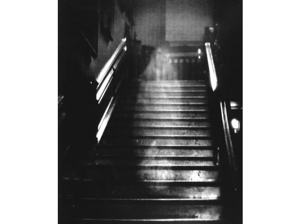 ப்ரவுன் லேடி :