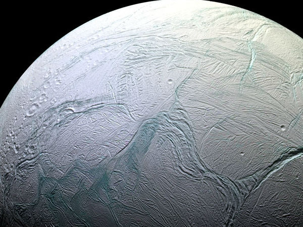 04. இன்செலடஸ் :