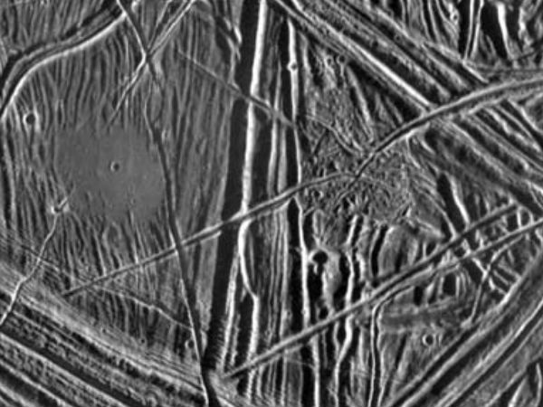  உயிரினம் :