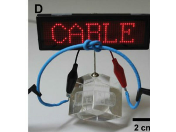 பேக்கப்