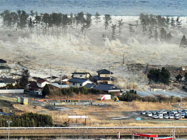 150 வல்லுநர்கள் :