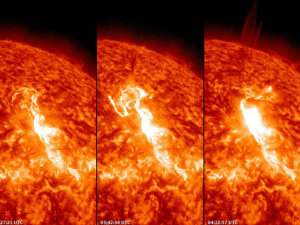 வாய்ப்பு :