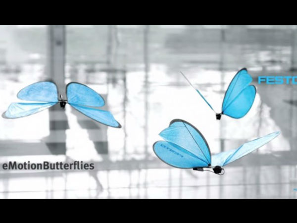 விளங்குகள்