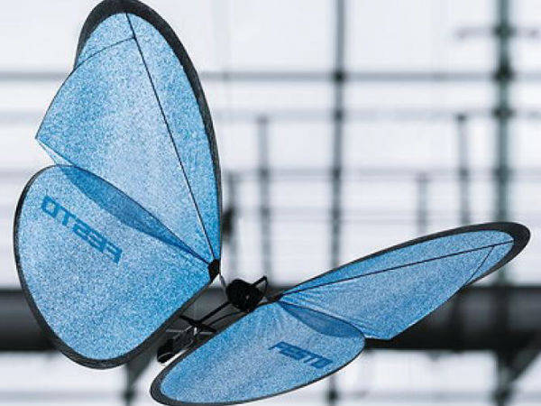 ஈமோஷன் பட்டர்ஃப்ளைஸ்