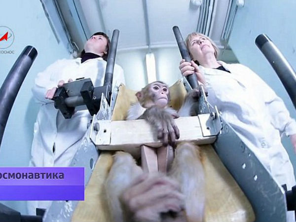 புரிதல்