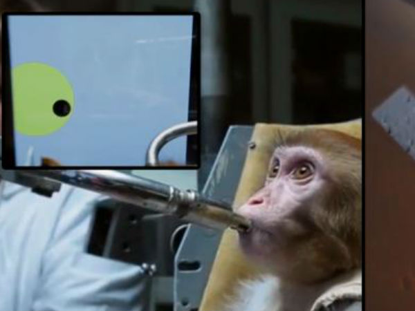 எதிர்பார்ப்பு