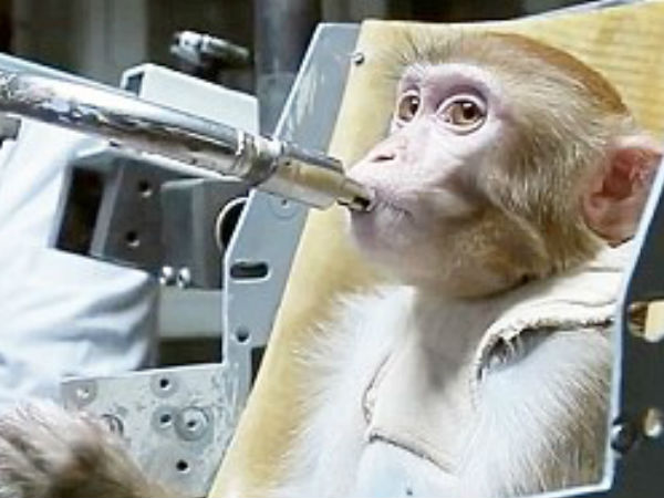 பயிற்சி