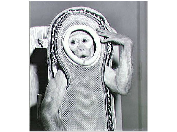 ஆல்பர்ட் I