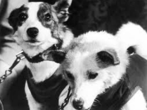 சோவியத்