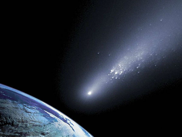 சைபிரீய காட்டுப்பகுதி :