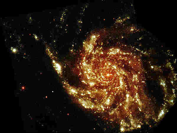 உமிழும் பின்வீல் :