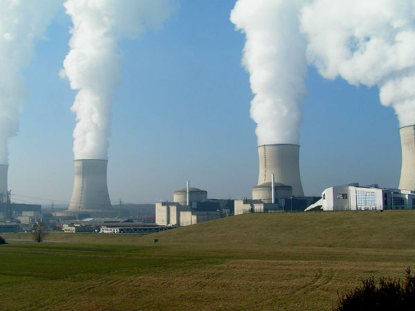 வளர்ச்சி :