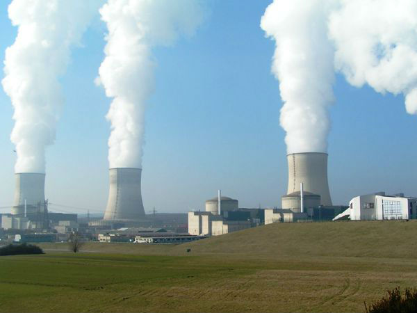 வளர்ச்சி :