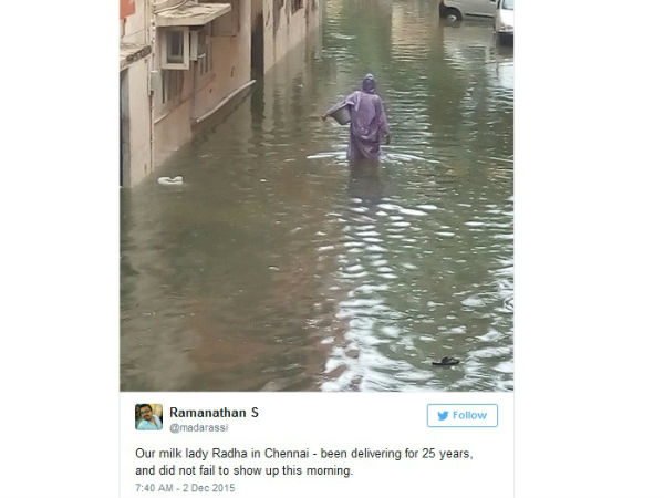 பால் காரம்மா :