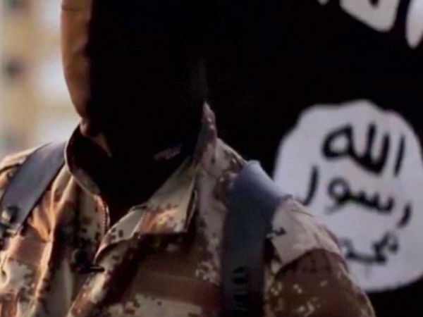 சிங்கிள் வுல்ஃப் :