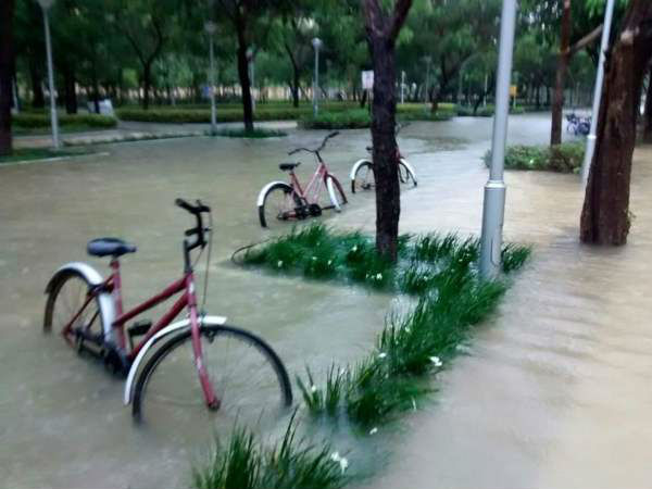 சென்னை : ஐ.டி நிறுவனங்கள் விடுமுறை (புகைப்படங்கள்)..!