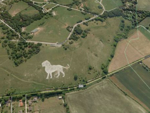 07. சிங்கம் :