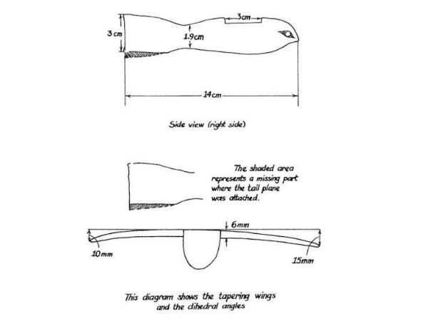 சக்காரா பறவை :