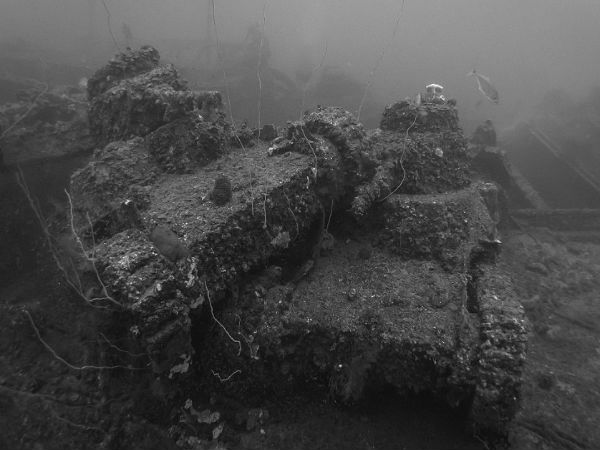 பீரங்கிகள் :