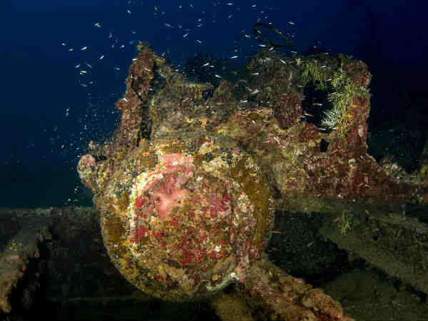 நீர்மூழ்கி :