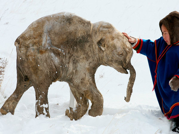 10 ஆயிரம் ஆண்டுகளுக்கு பிறகு :