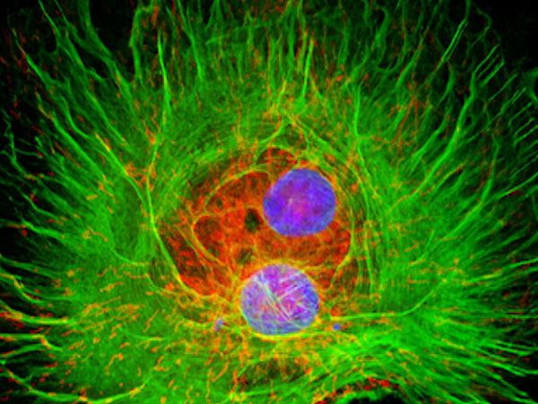 மட்டுமே :