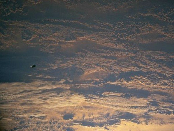 பிளாக் நைட் பற்றிய தகவல் :