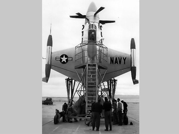 வால் பகுதி :