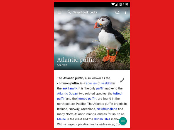 விக்கிபீடியா 