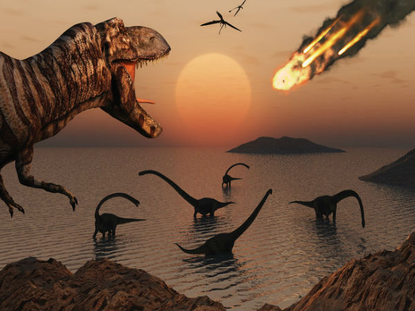 டைனோசர் இனம் :