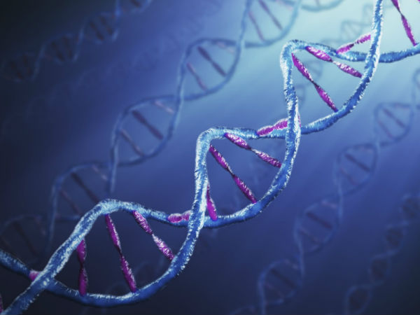 தலைமுறை தொழில்நுட்பங்கள் :