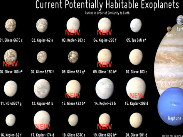 மனித இனம் :