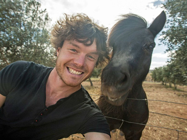 குதிரை :