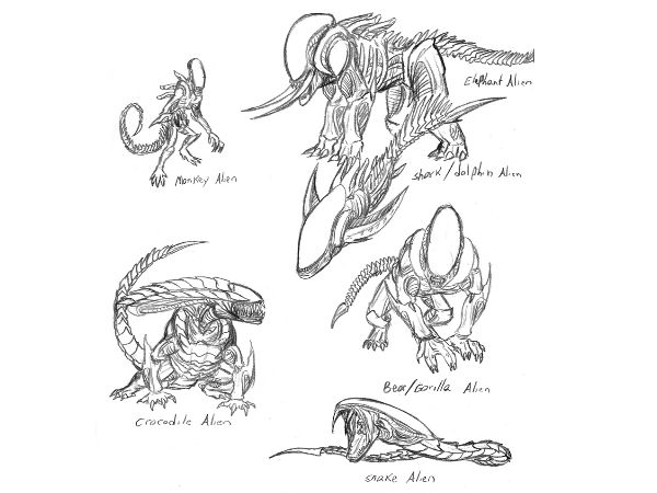 தோற்றம் :