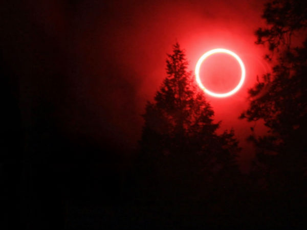 புரளி நம்பர் 01 :