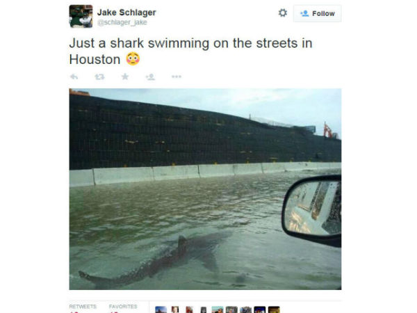 புரளி நம்பர் 09 :