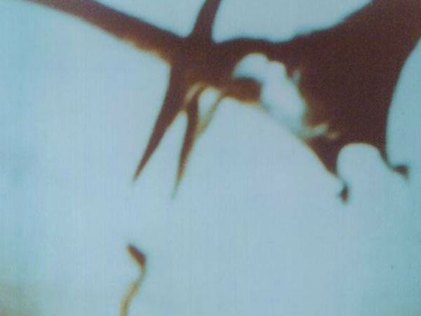 புகைப்படம் :