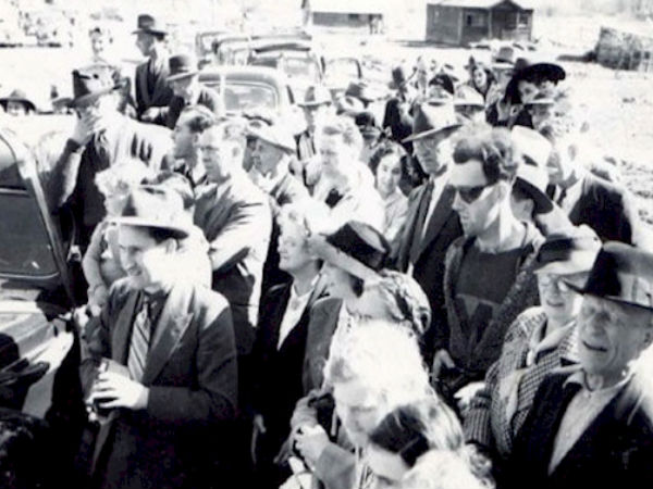 டிஷர்ட் :